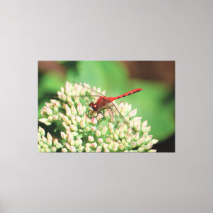 Red Dragonfly Blommigt Canvastryck
