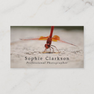 Red Dragonfly, fotograf, fotografi Visitkort