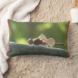 Red Dragonfly i Sol Pillow Lumbarkudde