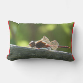 Red Dragonfly i Sol Pillow Lumbarkudde
