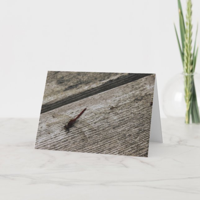 Red Dragonfly Kort (Framsida)