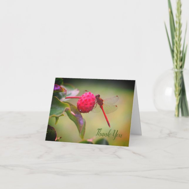 Red Dragonfly Natur - tackkort (Framsida)