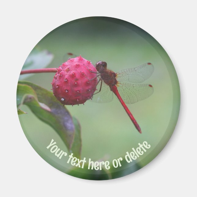 Red Dragonfly Nature Personalized Magnet (Framsidan)