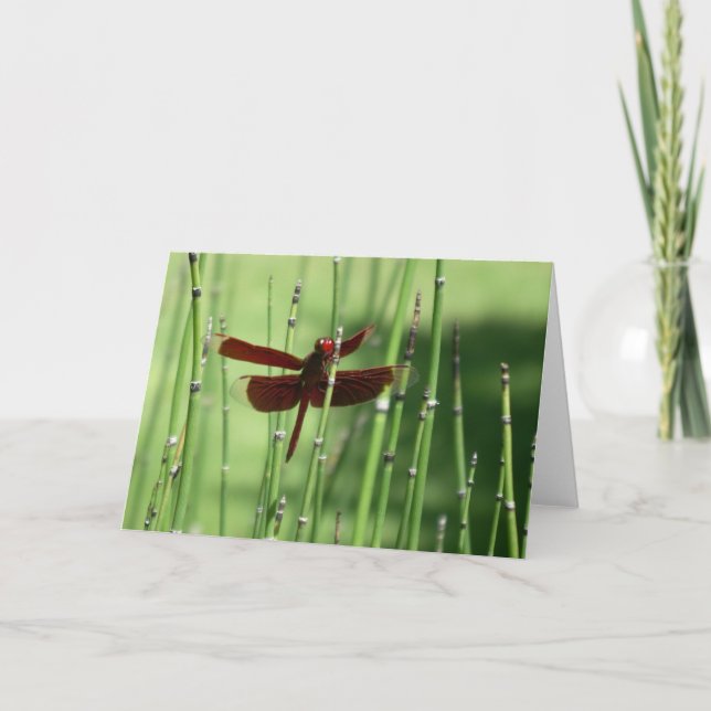 Red Dragonfly Note Card Kort (Framsida)