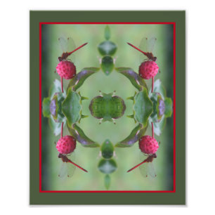 Red Dragonfly på Dogwood Fruit Abstrakt 8x10 Fototryck
