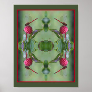 Red Dragonfly på Dogwood Fruit Abstrakt Poster