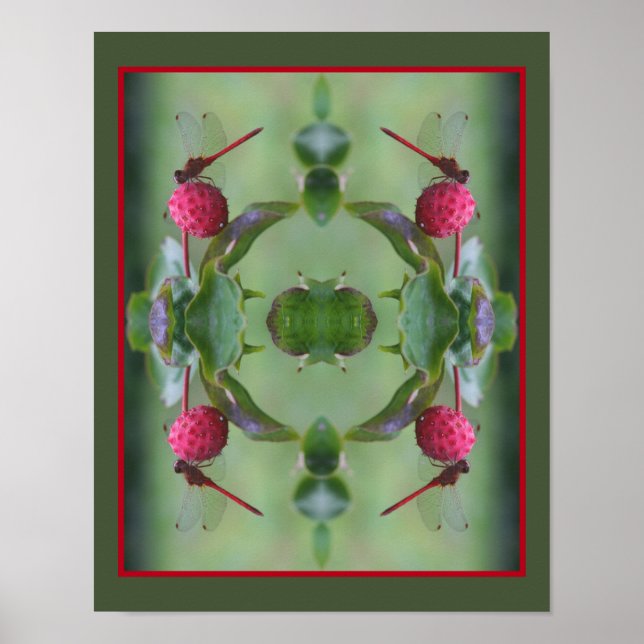 Red Dragonfly på Dogwood Fruit Abstrakt Poster (Framsidan)