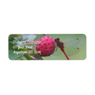 Red Dragonfly på Dogwood Fruit Adress Returadress Etikett