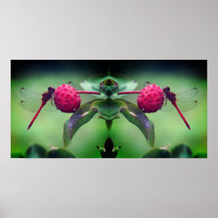 Red Dragonfly på Dogwood Fruit Spegel Abstrakt Poster