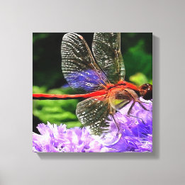 Red Dragonfly på Violet Lila blommor Canvastryck