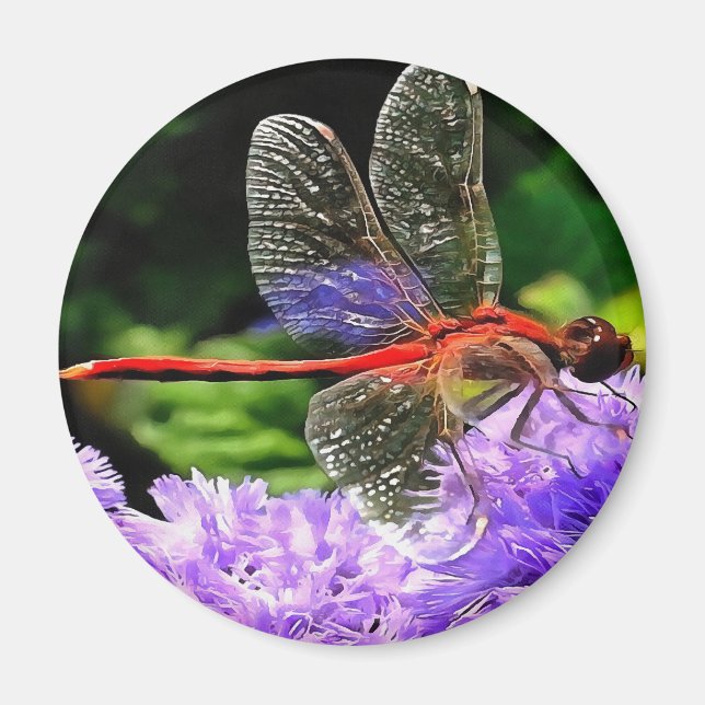 Red Dragonfly på Violet Lila blommor Magnet (Framsidan)