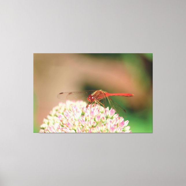 Red Dragonfly Photograph Canvastryck (Framsida)