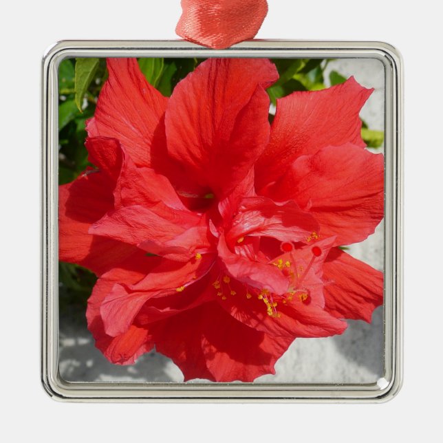 Red Dubbla Hibiscus Flower Julgransprydnad Metall (Framsidan)