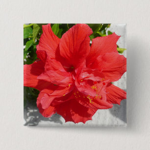 Red Dubbla Hibiscus Flower Knapp