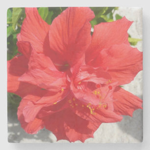 Red Dubbla Hibiscus Flower Stenunderlägg