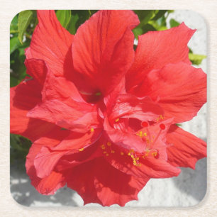 Red Dubbla Hibiscus Flower Underlägg Papper Kvadrat
