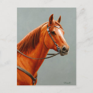 Red Dun Chestnut Sorrel Western Quarter Horse Vykort