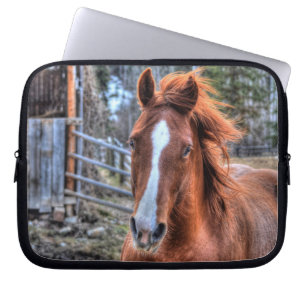 Red Dun Horse and Barn 2 - Equine Photo Porträtt Laptop Sleeve