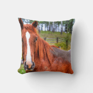 Red Dun Ranch Horse Animal-älskare Photo 2 Kudde