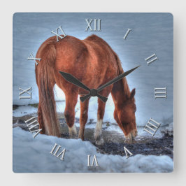 Red Dun Ranch Horse Drinking på en snödamm Fyrkantig Klocka