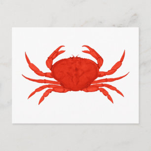 Red Dungeness Crab Logotyp Vykort