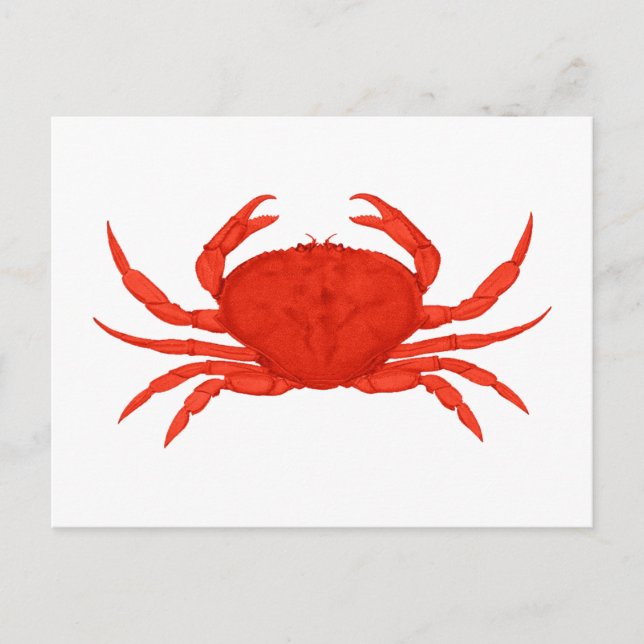 Red Dungeness Crab Logotyp Vykort (Framsida)