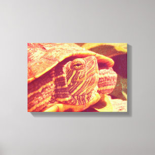 Red Ear Slider Turtle Canvastryck