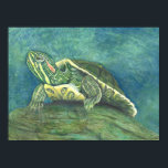 Red-Eared Slider Poster<br><div class="desc">This was the first drawing I entered into an art contest. I named it "One." I did not win,  but I wanted to share this one along with my other submission of a grey kitten named "Comet". I hope you enjoy it. :)</div>