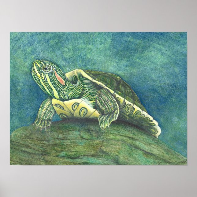 Red-Eared Slider Poster (Framsidan)