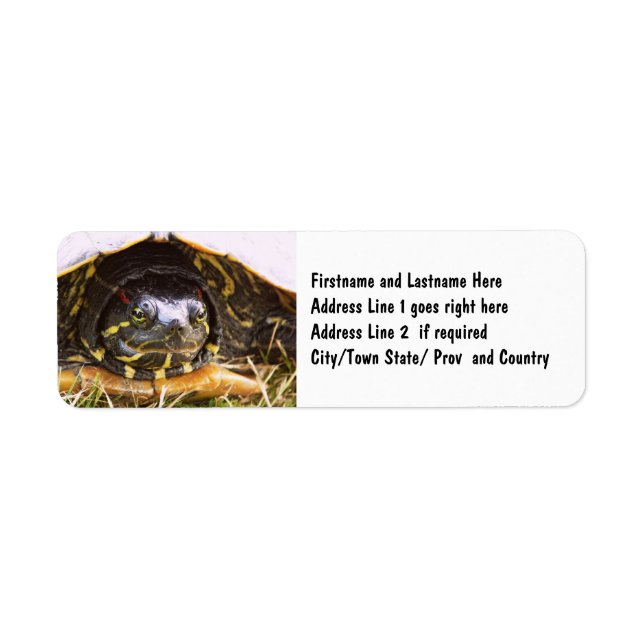 Red Eared Slider Turtle Head Returadress Etikett (Framsidan)