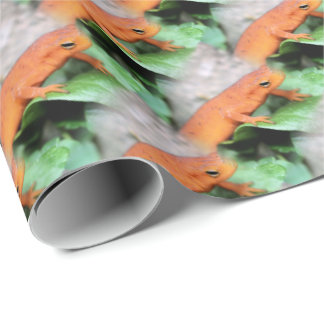 Red Eft Orange Salamander Animal Mönster   Presentpapper
