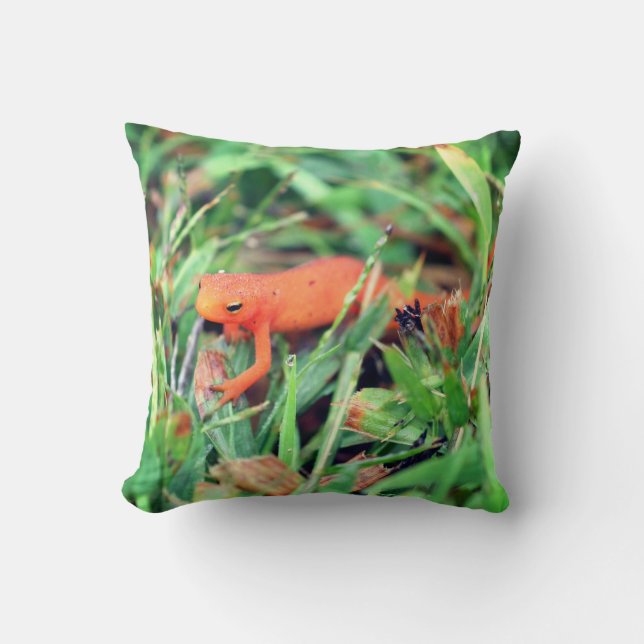 Red Eft Orange Salamander Nature 1  Kudde (Framsida)