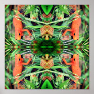 Red Eft Orange Salamander Spegel Abstrakt Poster