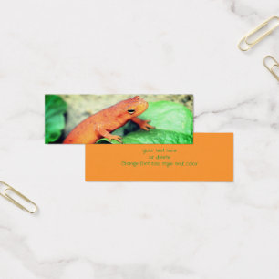 Red Eft Salamander Nature Mini Bookmark Litet Visitkort