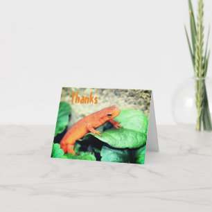 Red Eft Salamander Nature - tack för ditt kort