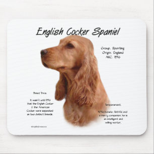 Red English Cocker Spain History Musmatta