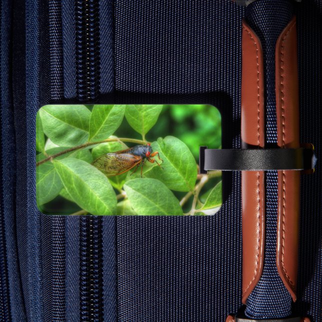 Red Eyed Cicada Bagagebricka (Baksida Insitu 2)