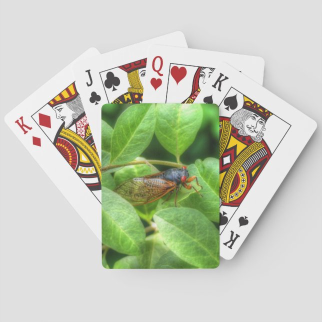 Red Eyed Cicada Casinokort (Baksidan)