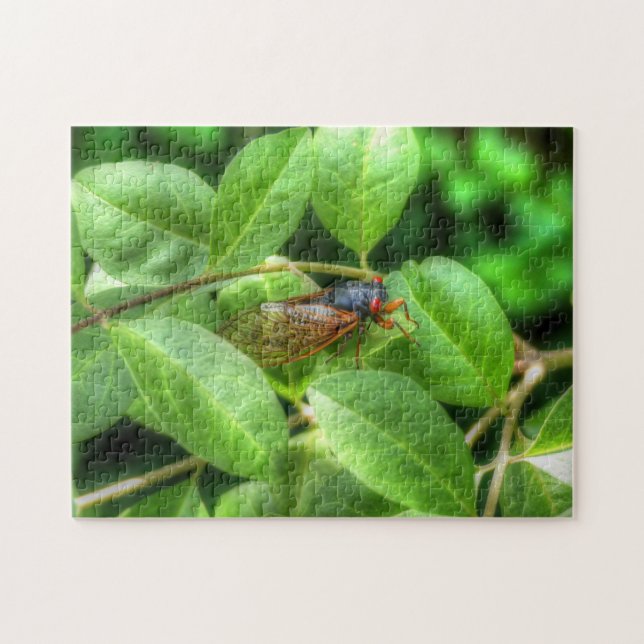 Red Eyed Cicada Pussel (Horisontell)