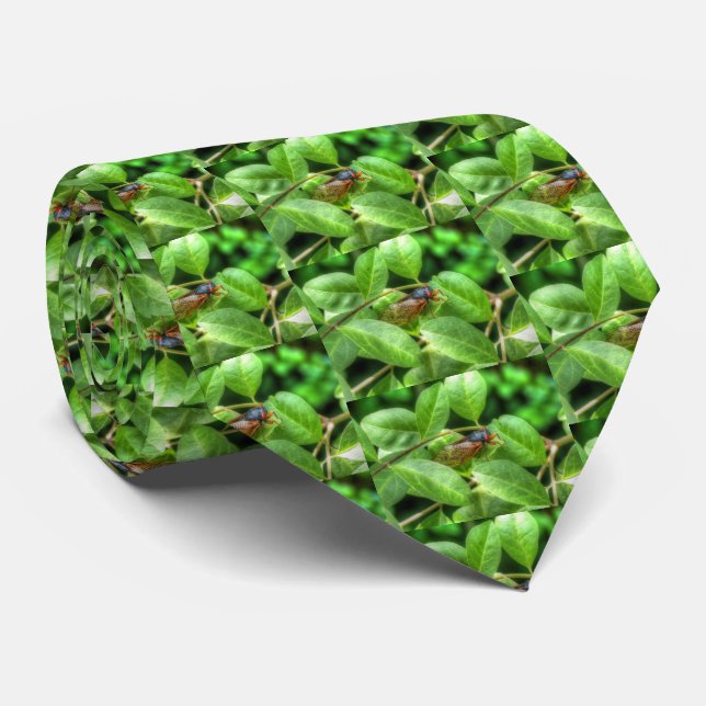 Red Eyed Cicada Slips (Rullad)