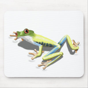 Red Eyed Frog Musmatta