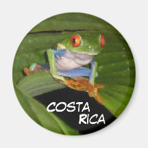 Red Eyed Gaudy Frog Anpassade Magnet