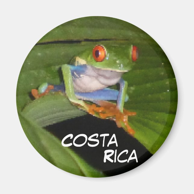Red Eyed Gaudy Frog Anpassade Magnet (Framsidan)