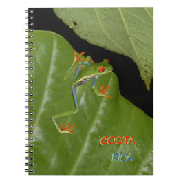 Red Eyed Gaudy Frog Cust. Textanteckningsbok Anteckningsbok