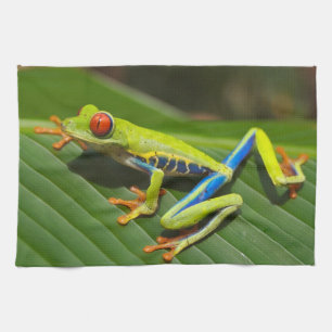 Red Eyed Grönt Träd Frog Kökshandduk