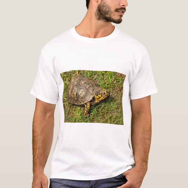 Red Eyed Male Box Turtle T Shirt (Framsida)