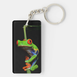 Red Eyed Payed Träd Frog