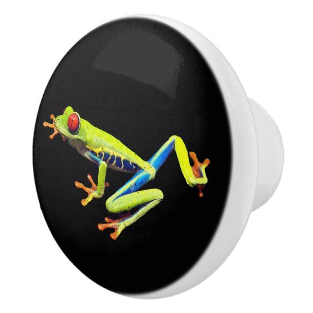 Red Eyed Payed Träd Frog Knopp (Höger)