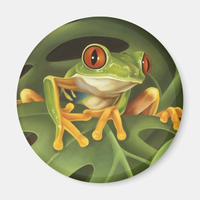 Red Eyed Träd Frog Magnet (Framsidan)