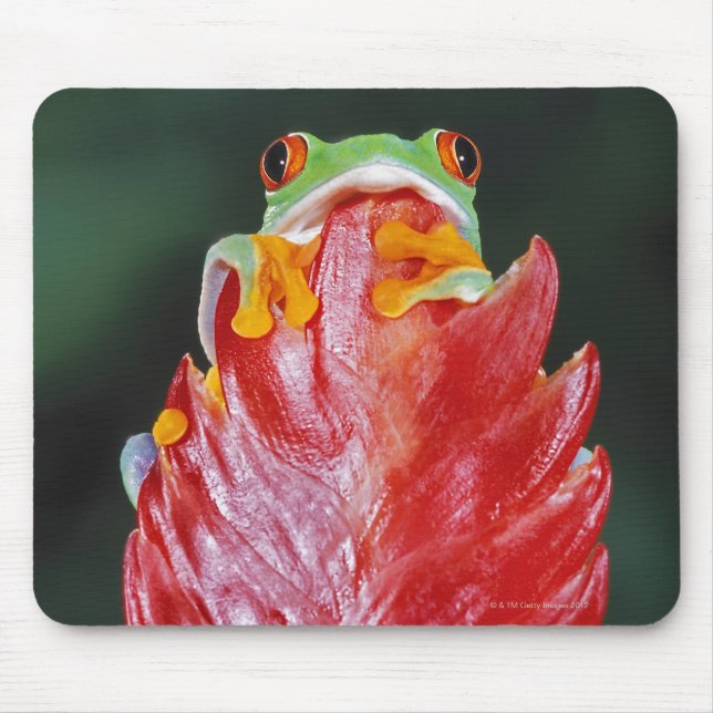 Red-Eyed Träd Frog på Löv Musmatta (Framsidan)
